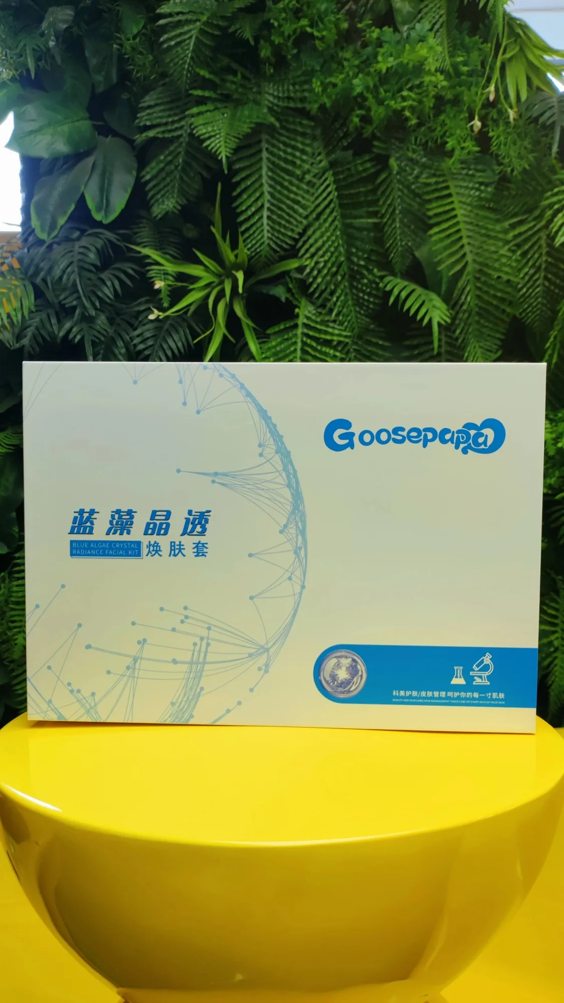 Goosepapa蓝藻晶透焕肤套，海绵微晶蓝精灵，12次装，28套 图片 11