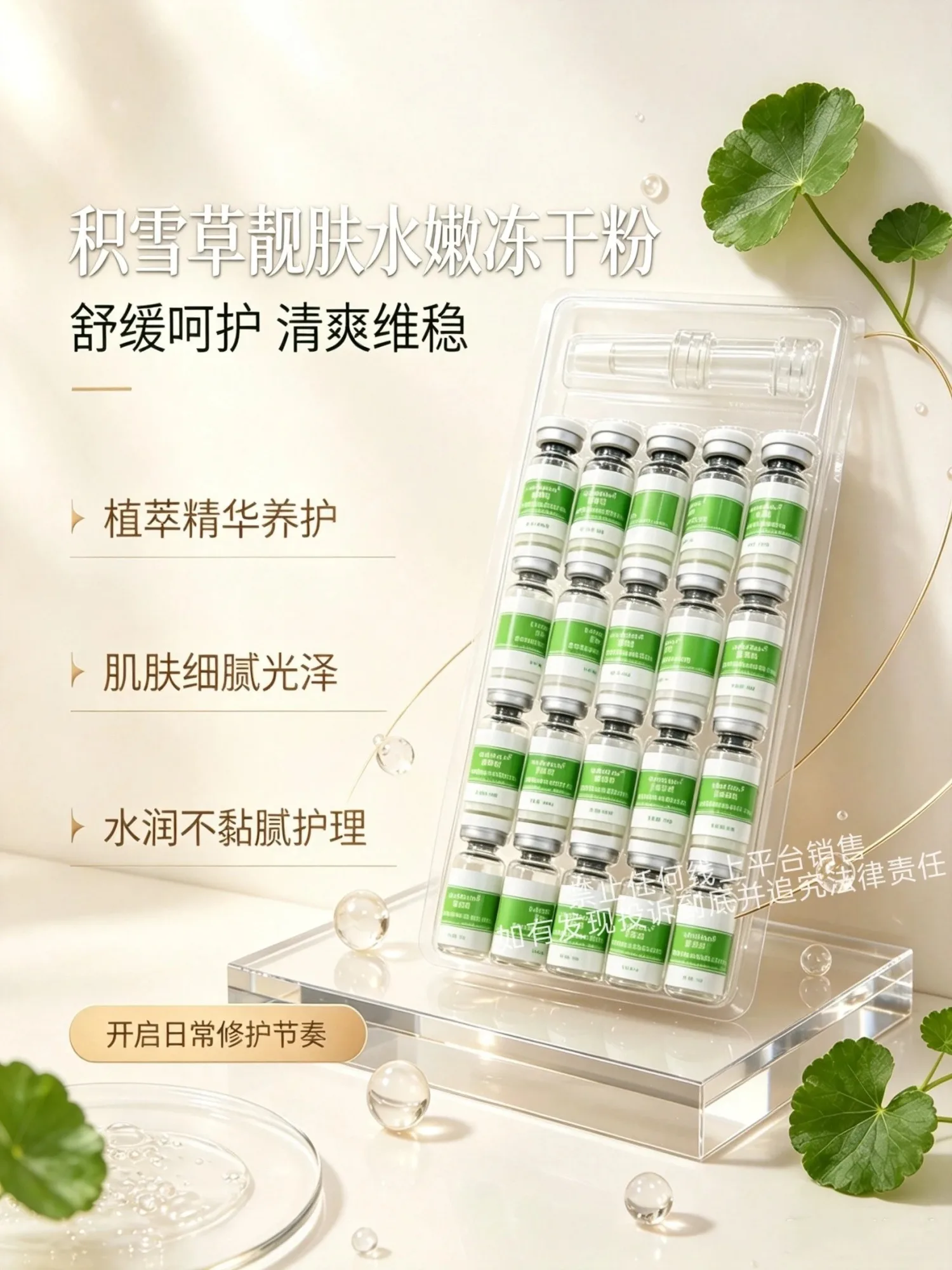 美修加10对装冻干粉四大功效 图片 4