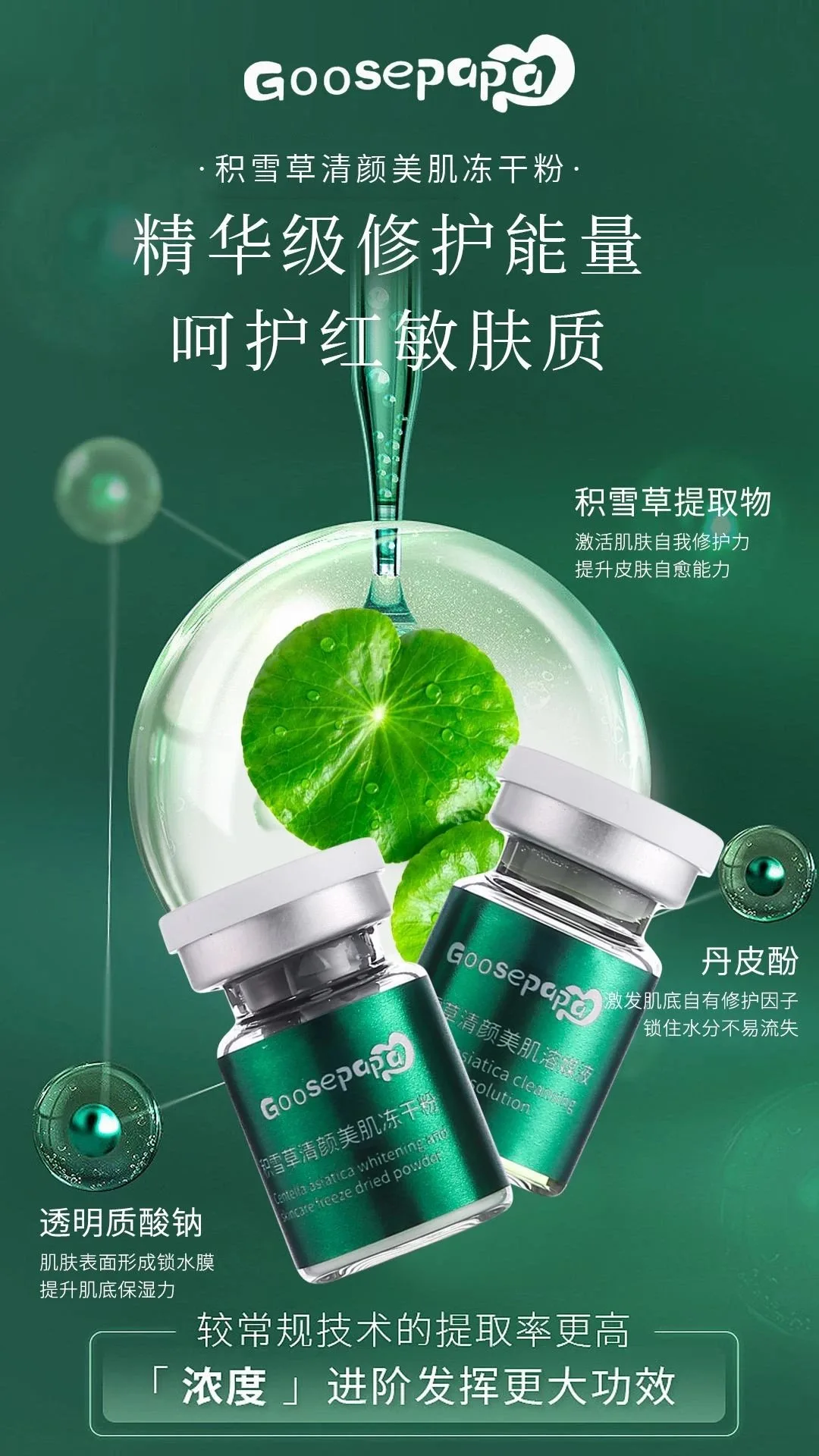 Goosepapa积雪草清颜美肌冻干粉，高端贵妇积雪草冻干粉。5毫升×6组，，控油祛痘收毛孔 图片 4