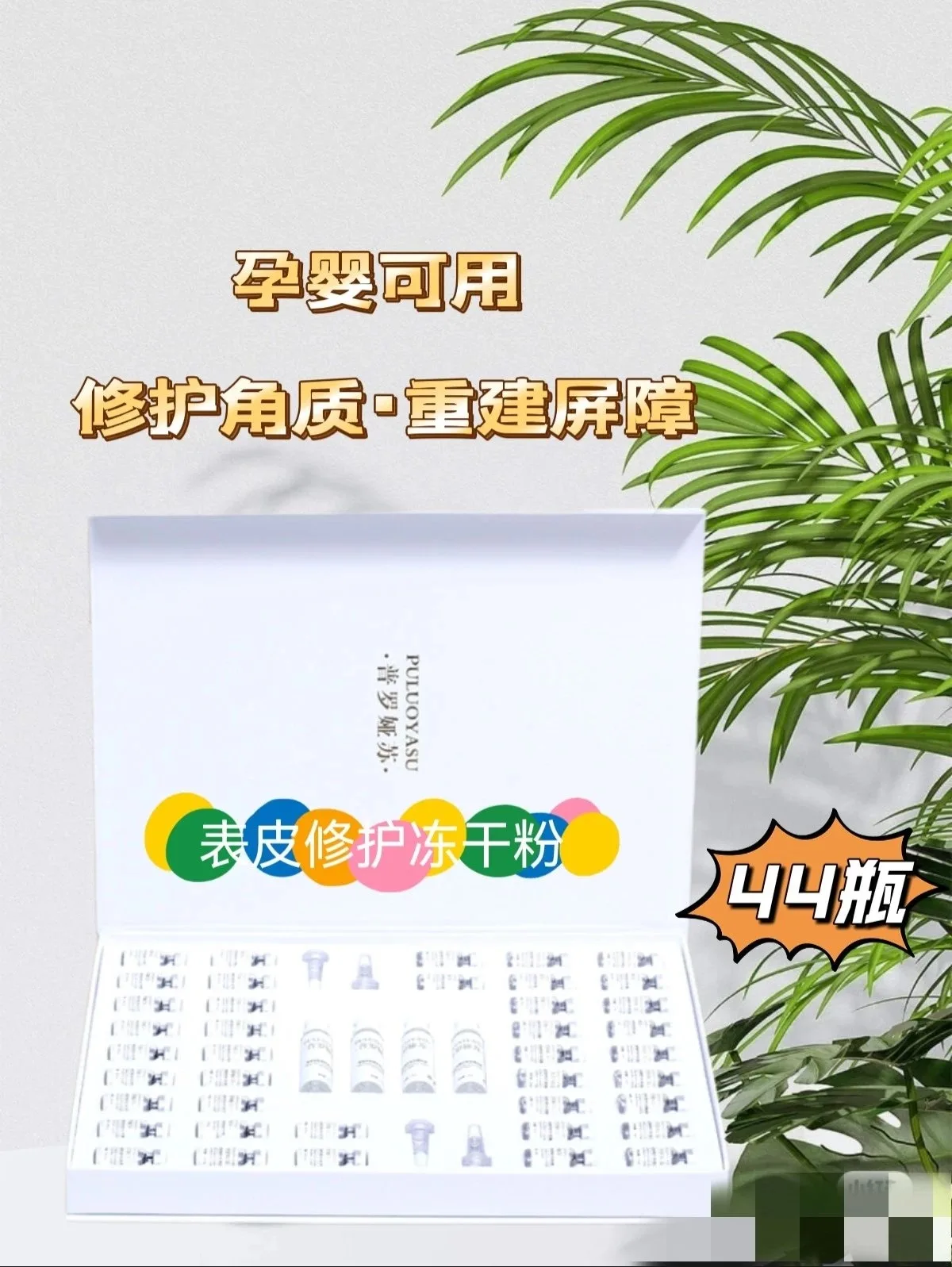普罗娅苏表层皮肤修护多肽冻干粉 图片 11