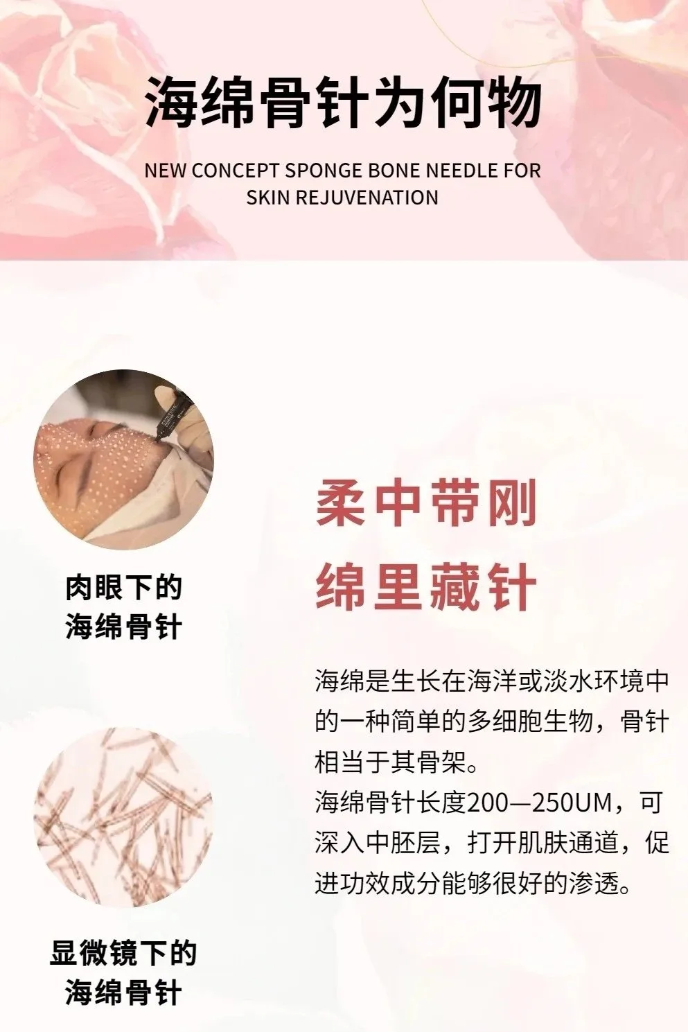 普罗娅苏白钻胶原秘龄套，海绵骨针，种钻石 图片 9