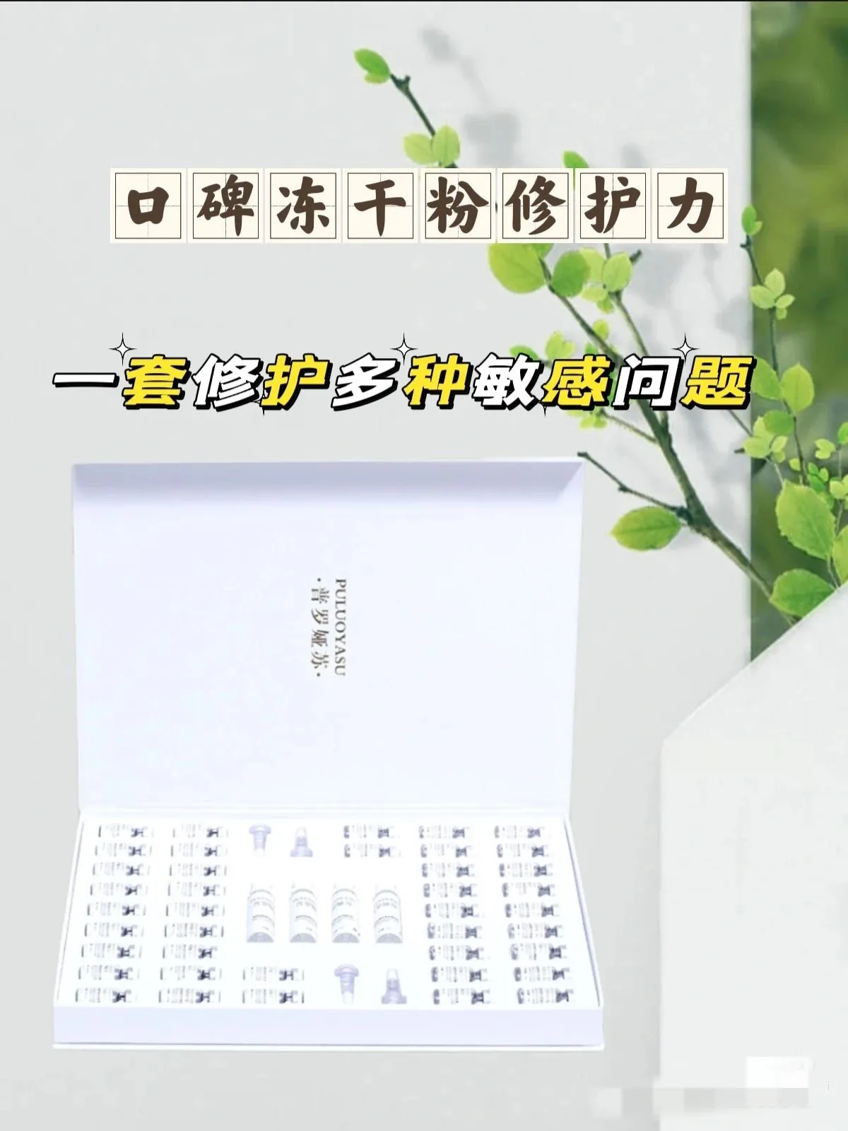 普罗娅苏表层皮肤修护多肽冻干粉 图片 9