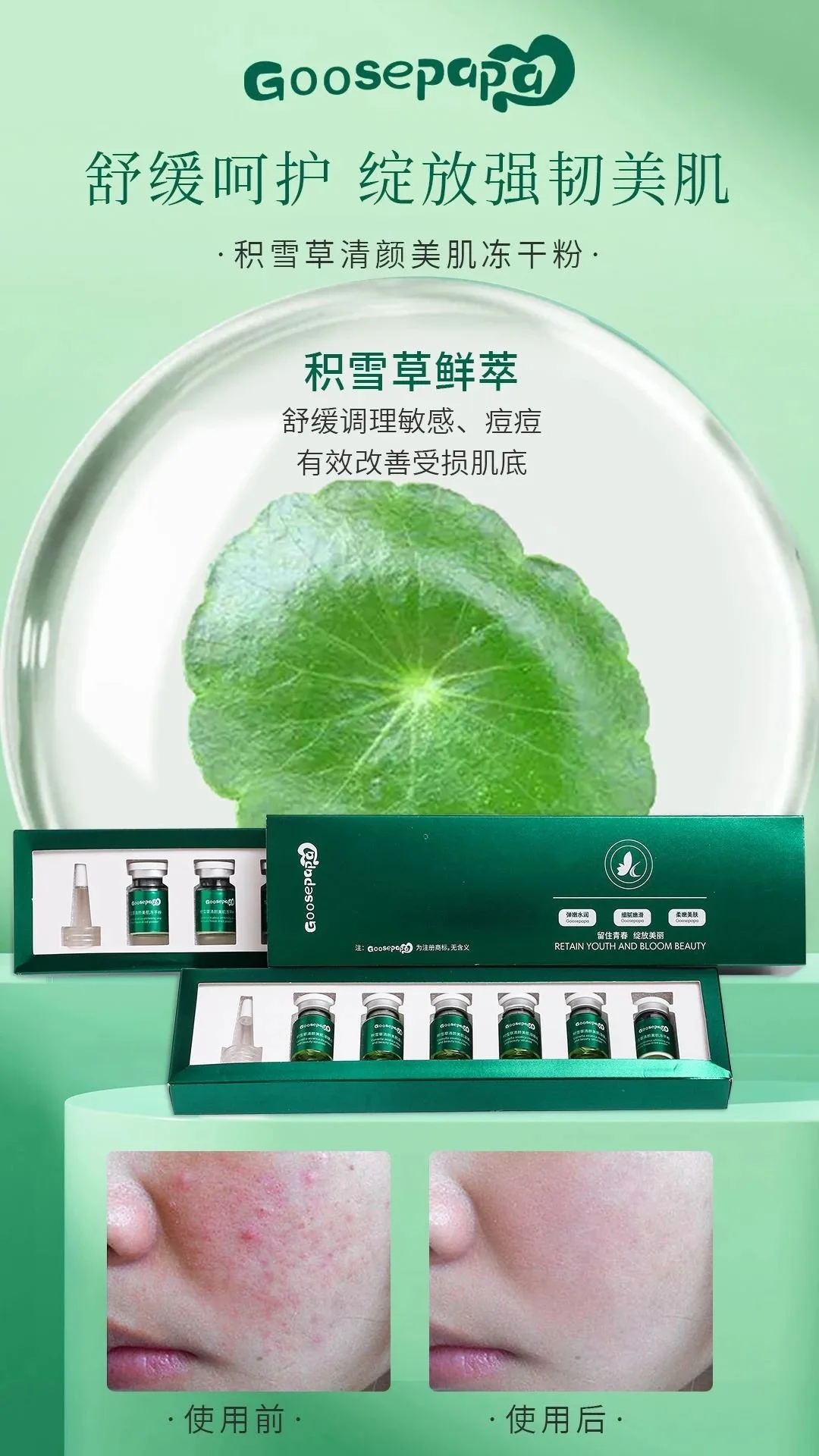 Goosepapa积雪草清颜美肌冻干粉，高端贵妇积雪草冻干粉。5毫升×6组，，控油祛痘收毛孔 图片 3