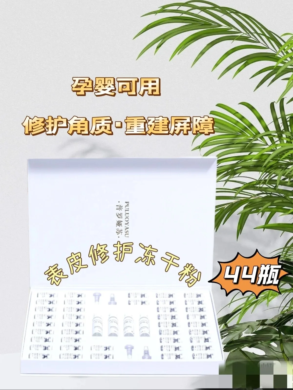 普罗娅苏表层皮肤修护多肽冻干粉 图片 13