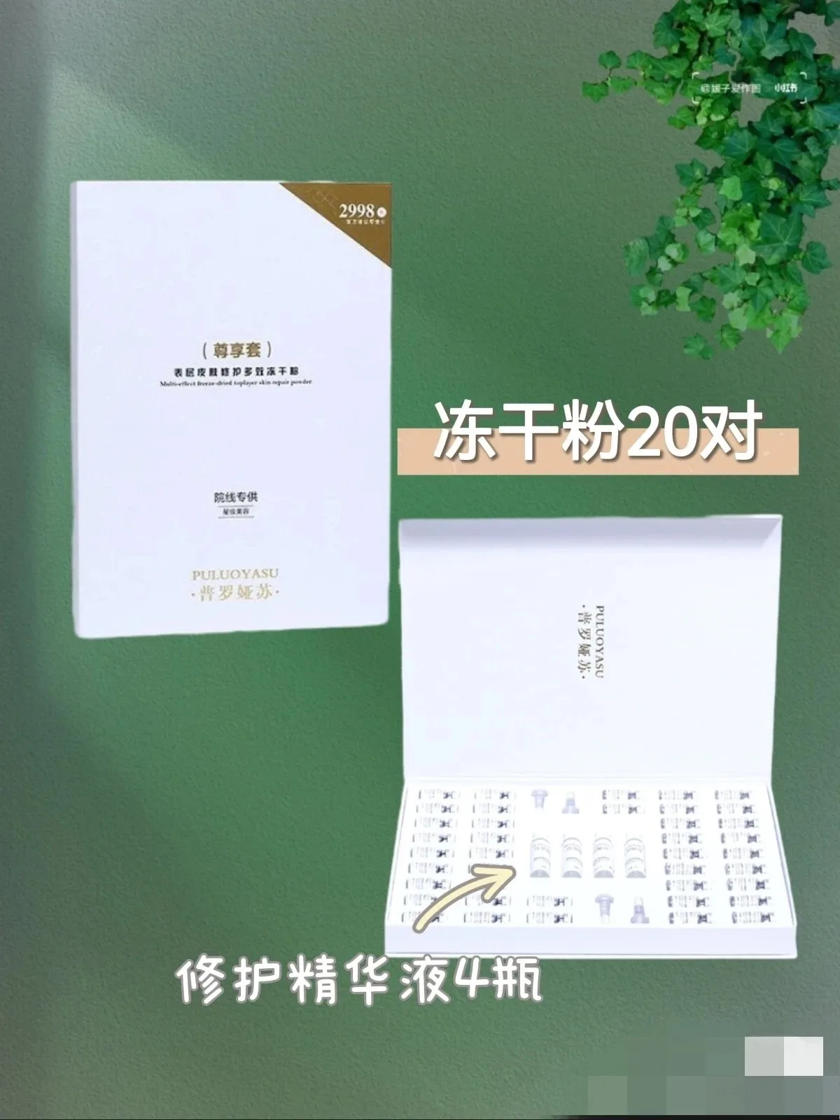 普罗娅苏表层皮肤修护多肽冻干粉 图片 12